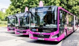 violette Busse für den SEV