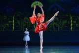    Elegante Balance mit erhobenem Fächer